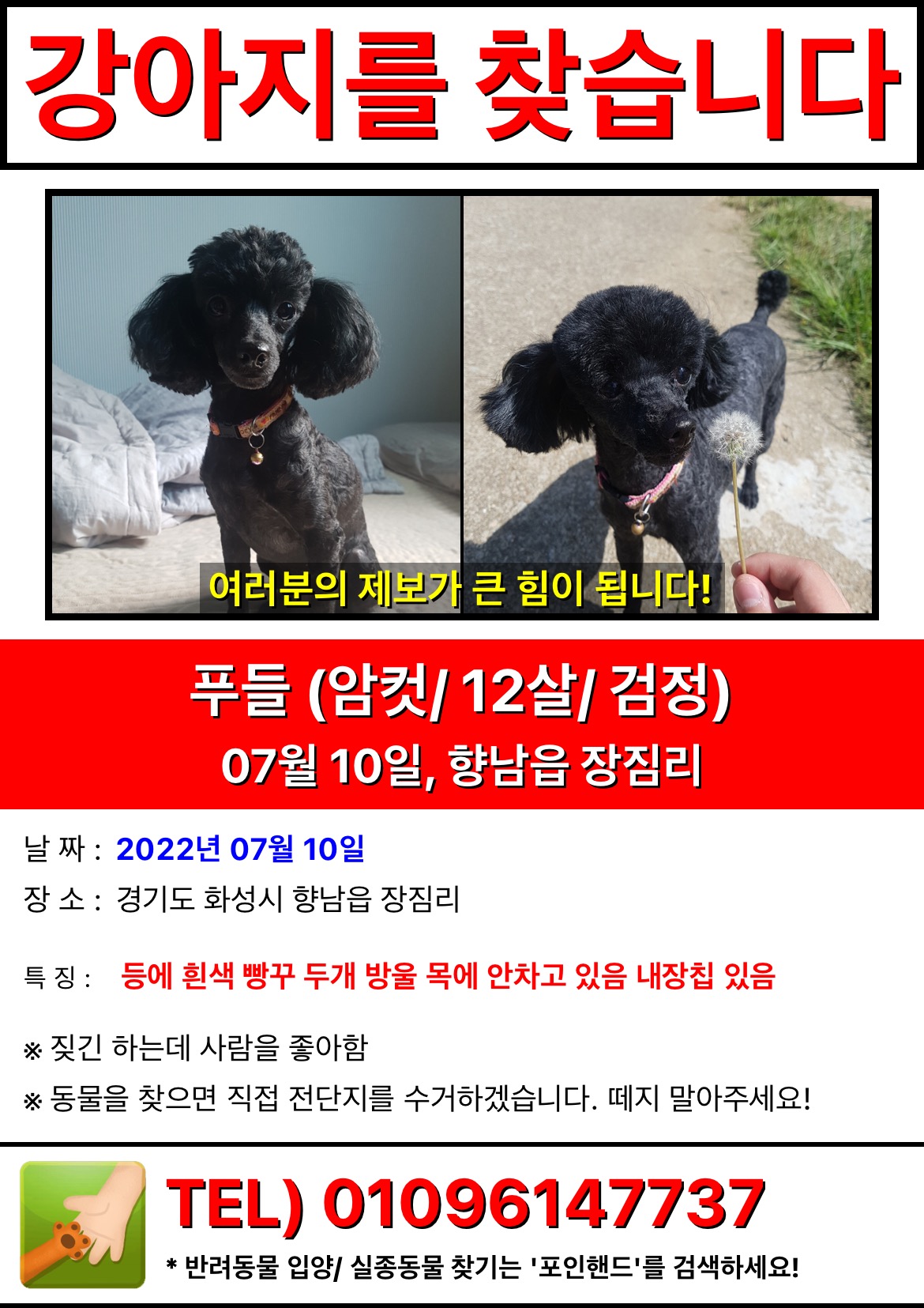 유기견보호센터 강아지보호소 고양이보호소 - 펫찾기 36번째 사진