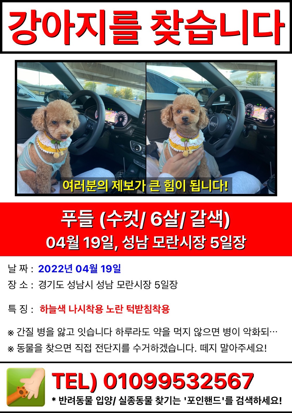 유기견보호센터 강아지보호소 고양이보호소 - 펫찾기 25번째 사진