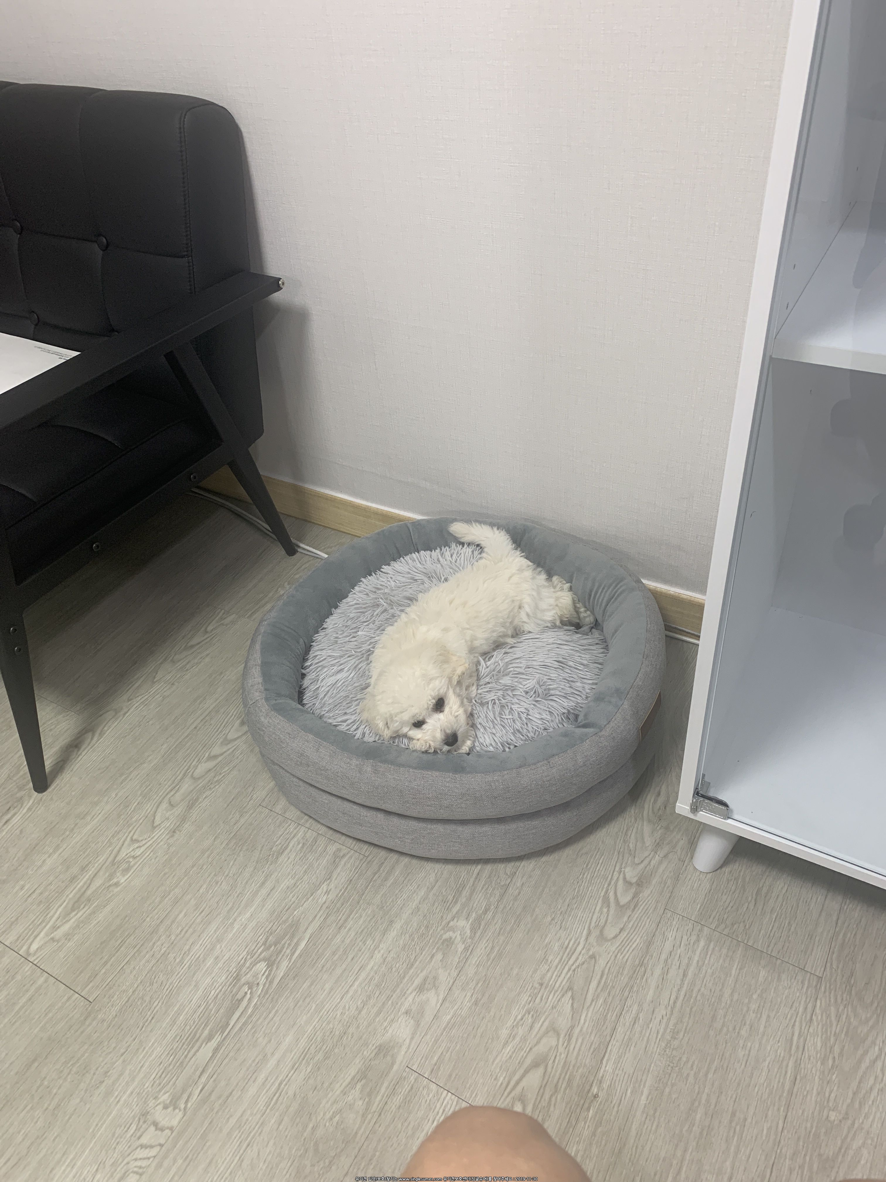 KakaoTalk_20191128_224431766.jpg