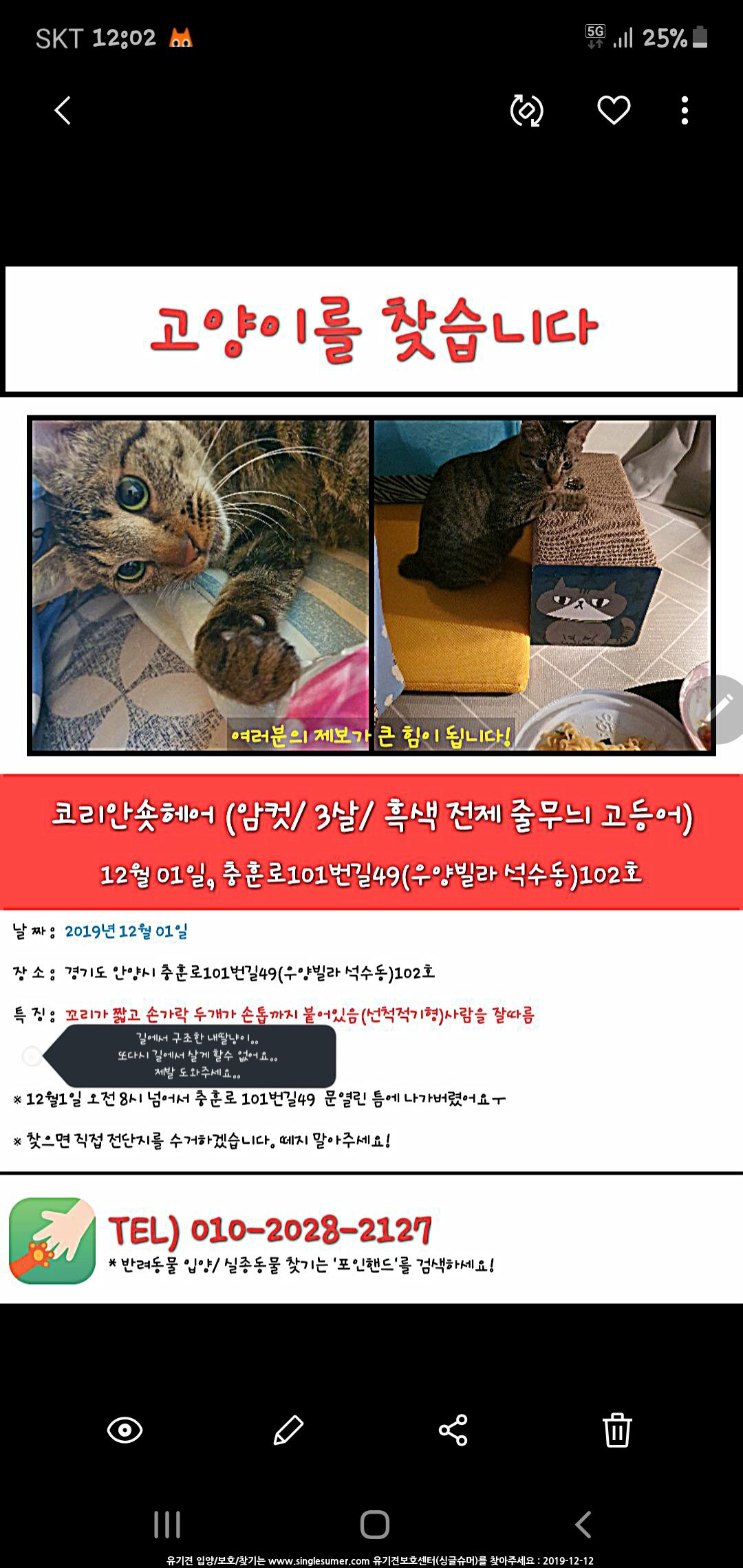 Screenshot_20191212-120249_Gallery.jpg : 내 소중한 딸냥이 찾아요