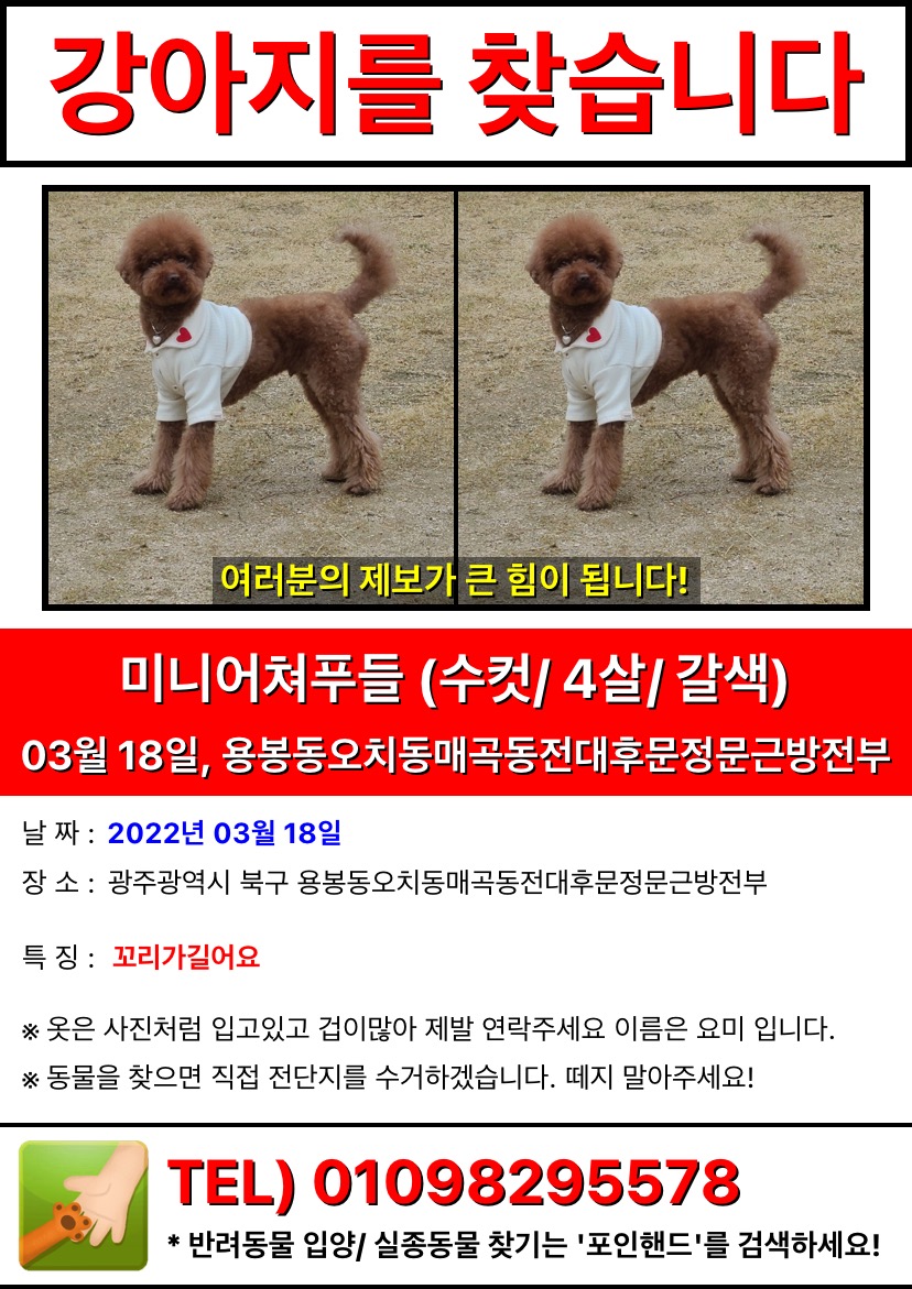 유기견보호센터 강아지보호소 고양이보호소 - 펫찾기 29번째 사진