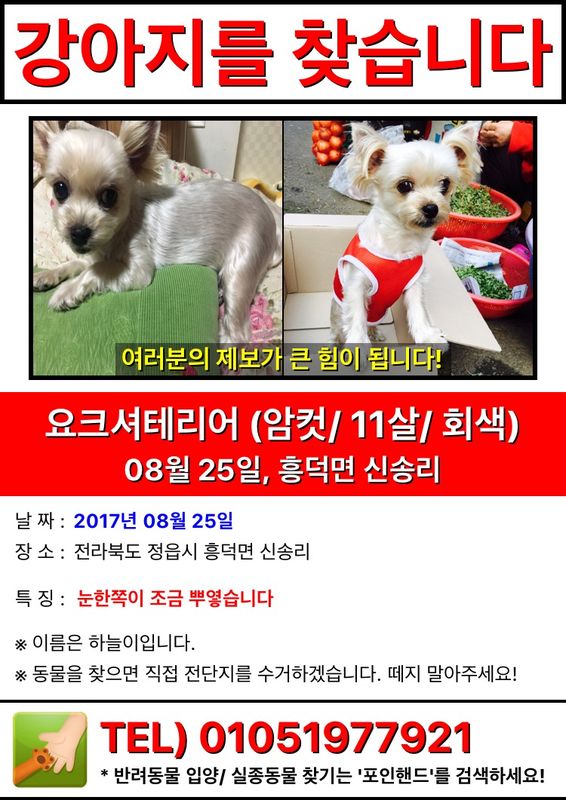 유기견보호센터 강아지보호소 고양이보호소 - 펫찾기 34번째 사진