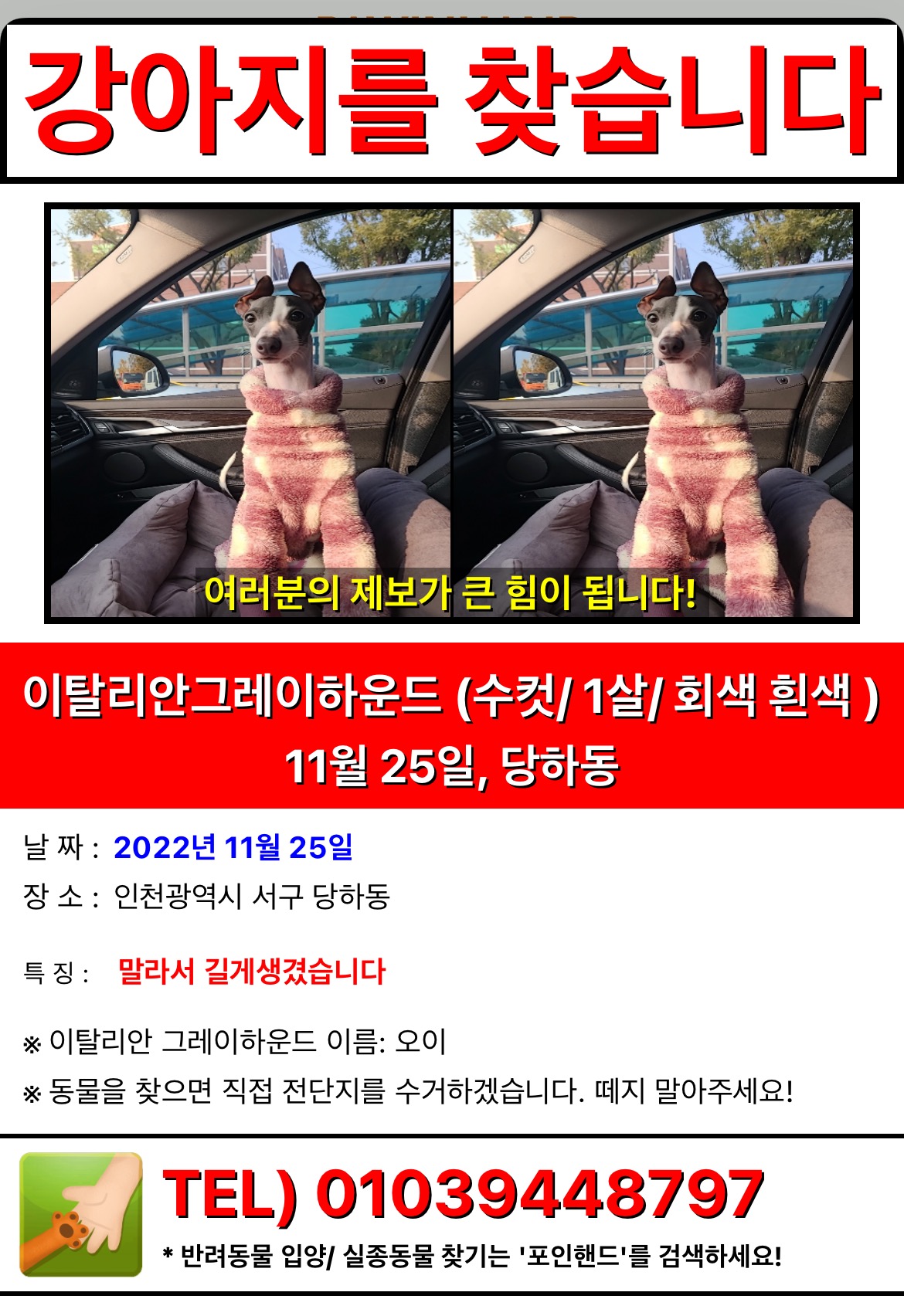 유기견보호센터 강아지보호소 고양이보호소 - 펫찾기 22번째 사진