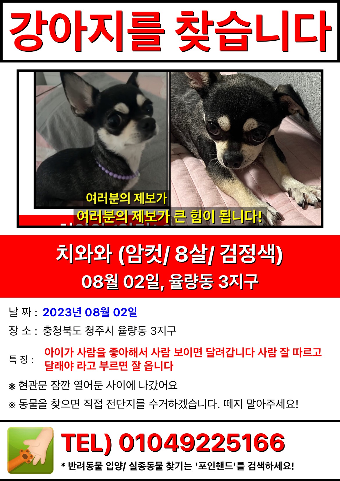 유기견보호센터 강아지보호소 고양이보호소 - 펫찾기 37번째 사진