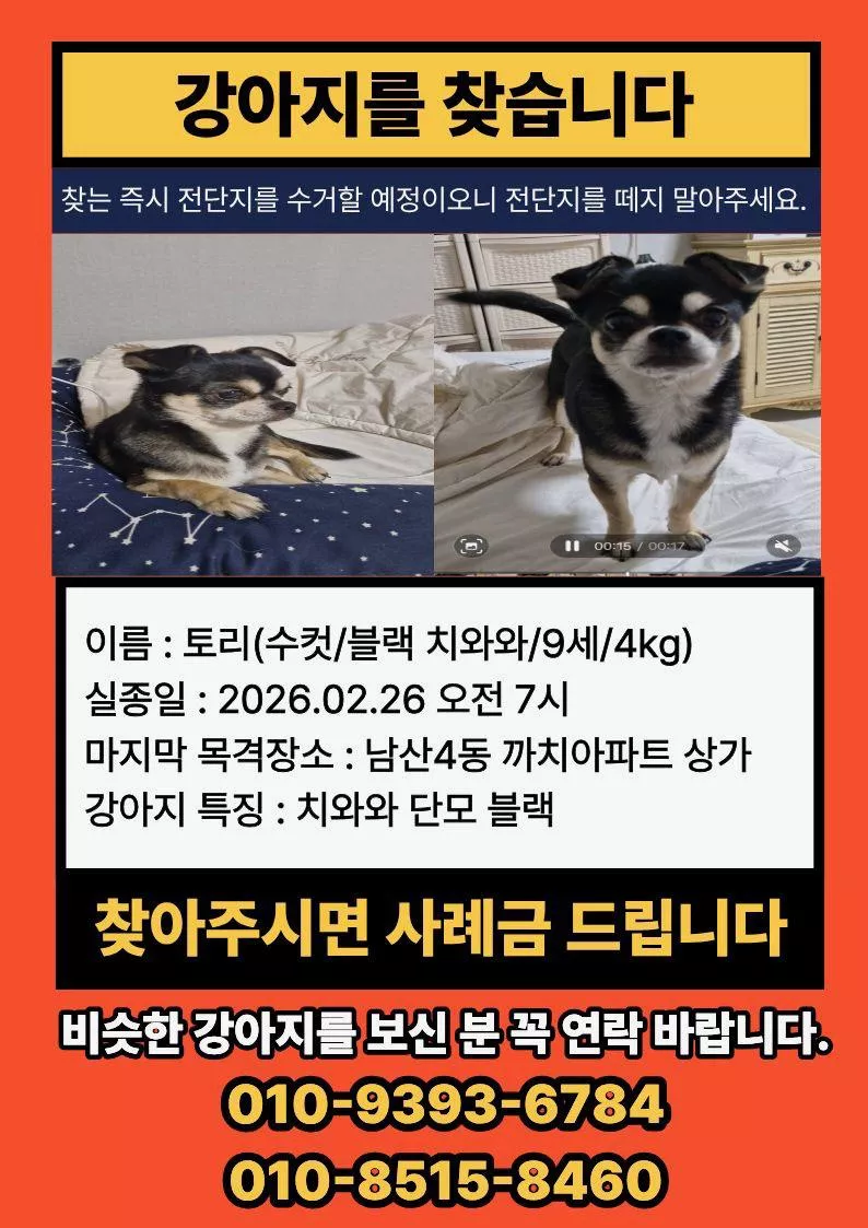 유기견보호센터 강아지보호소 고양이보호소 - 펫찾기 3번째 사진