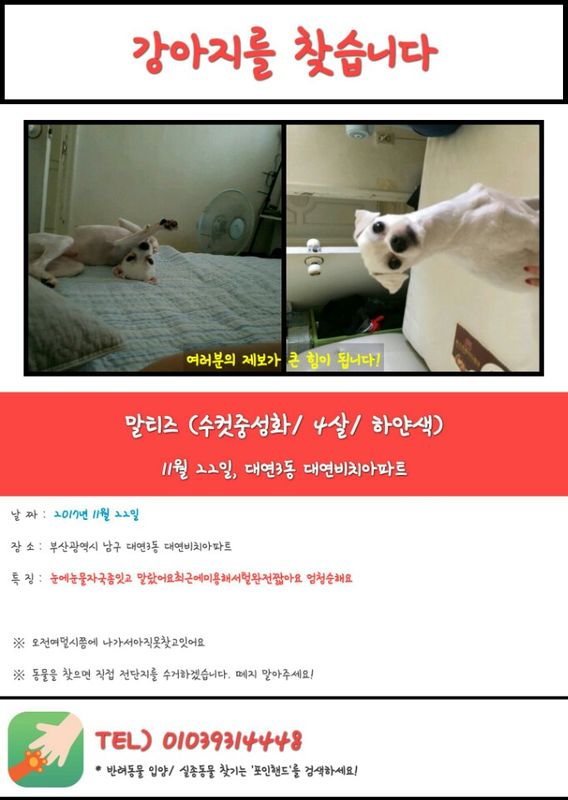 유기견보호센터 강아지보호소 고양이보호소 - 펫찾기 5번째 사진