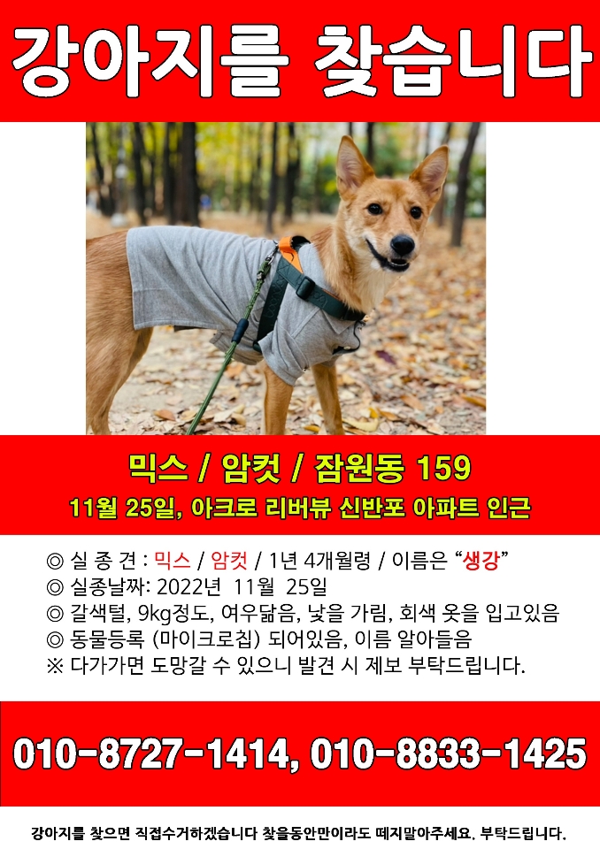 유기견보호센터 강아지보호소 고양이보호소 - 펫찾기 15번째 사진