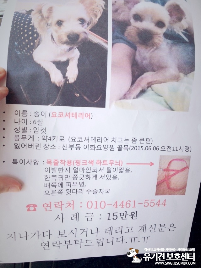 유기견보호센터 강아지보호소 고양이보호소 - 펫찾기 14번째 사진