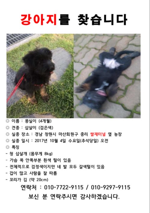 유기견보호센터 강아지보호소 고양이보호소 - 펫찾기 4번째 사진