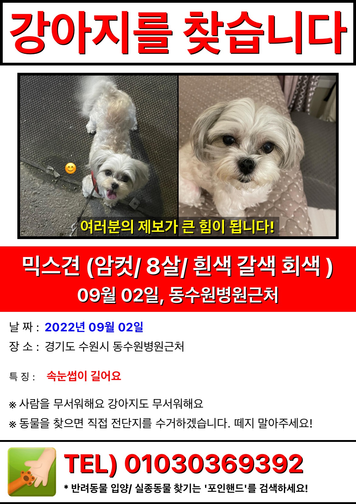 유기견보호센터 강아지보호소 고양이보호소 - 펫찾기 23번째 사진