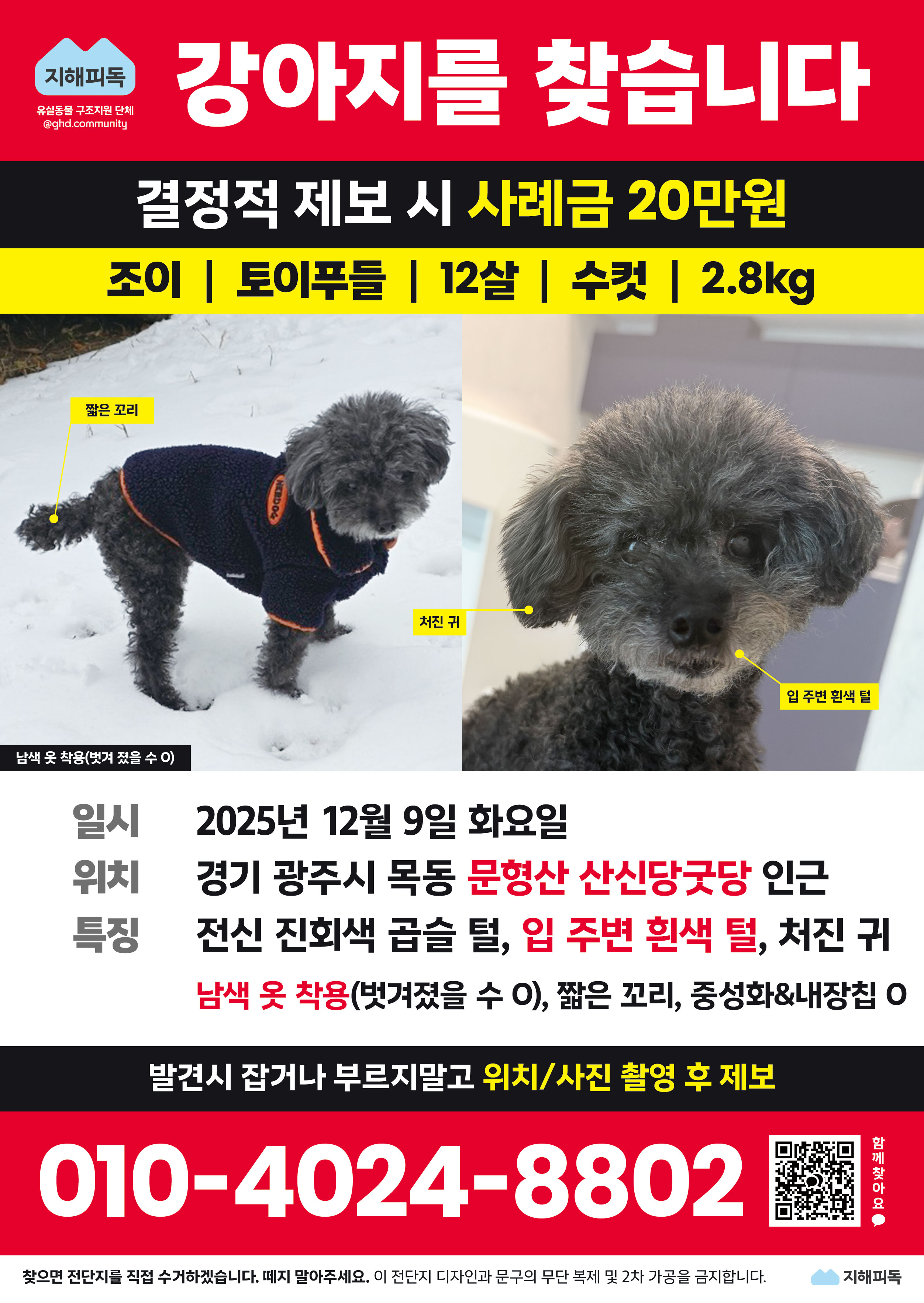 유기견보호센터 강아지보호소 고양이보호소 - 펫찾기 4번째 사진