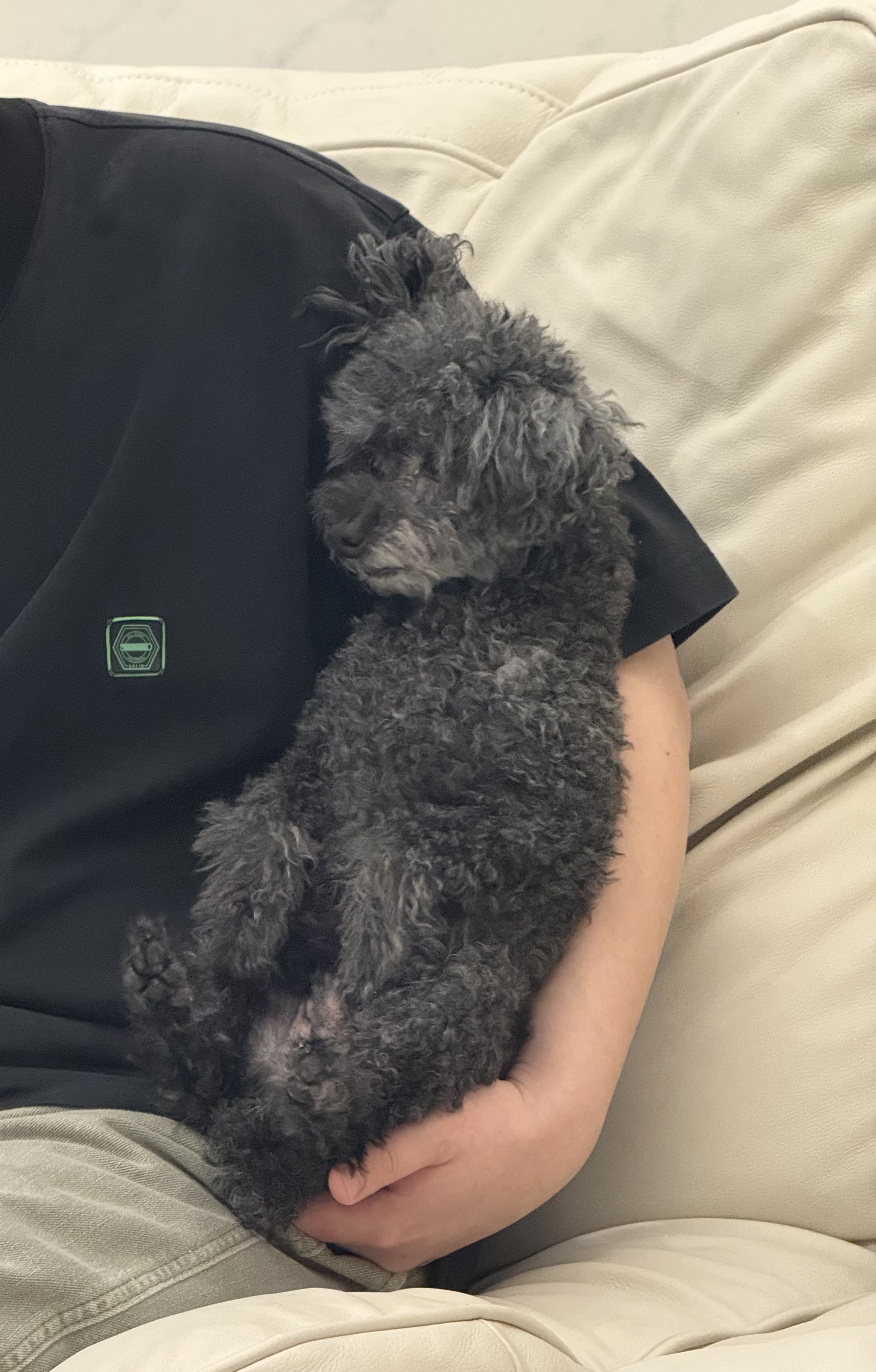 유기견보호센터 강아지보호소 고양이보호소 - 펫찾기 6번째 사진