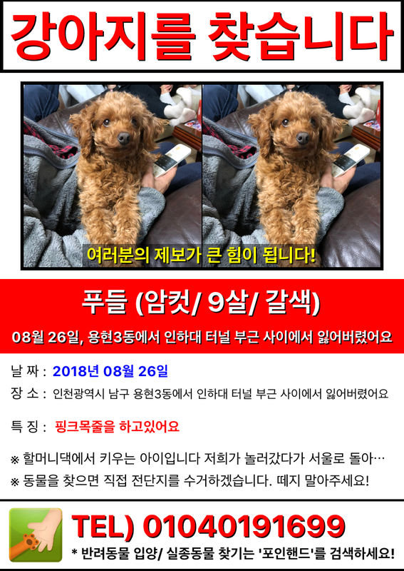 유기견보호센터 강아지보호소 고양이보호소 - 펫찾기 6번째 사진