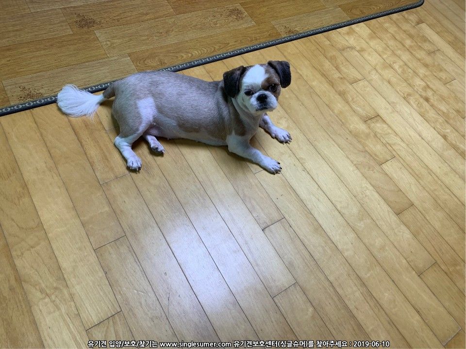 KakaoTalk_20190608_085955622.jpg