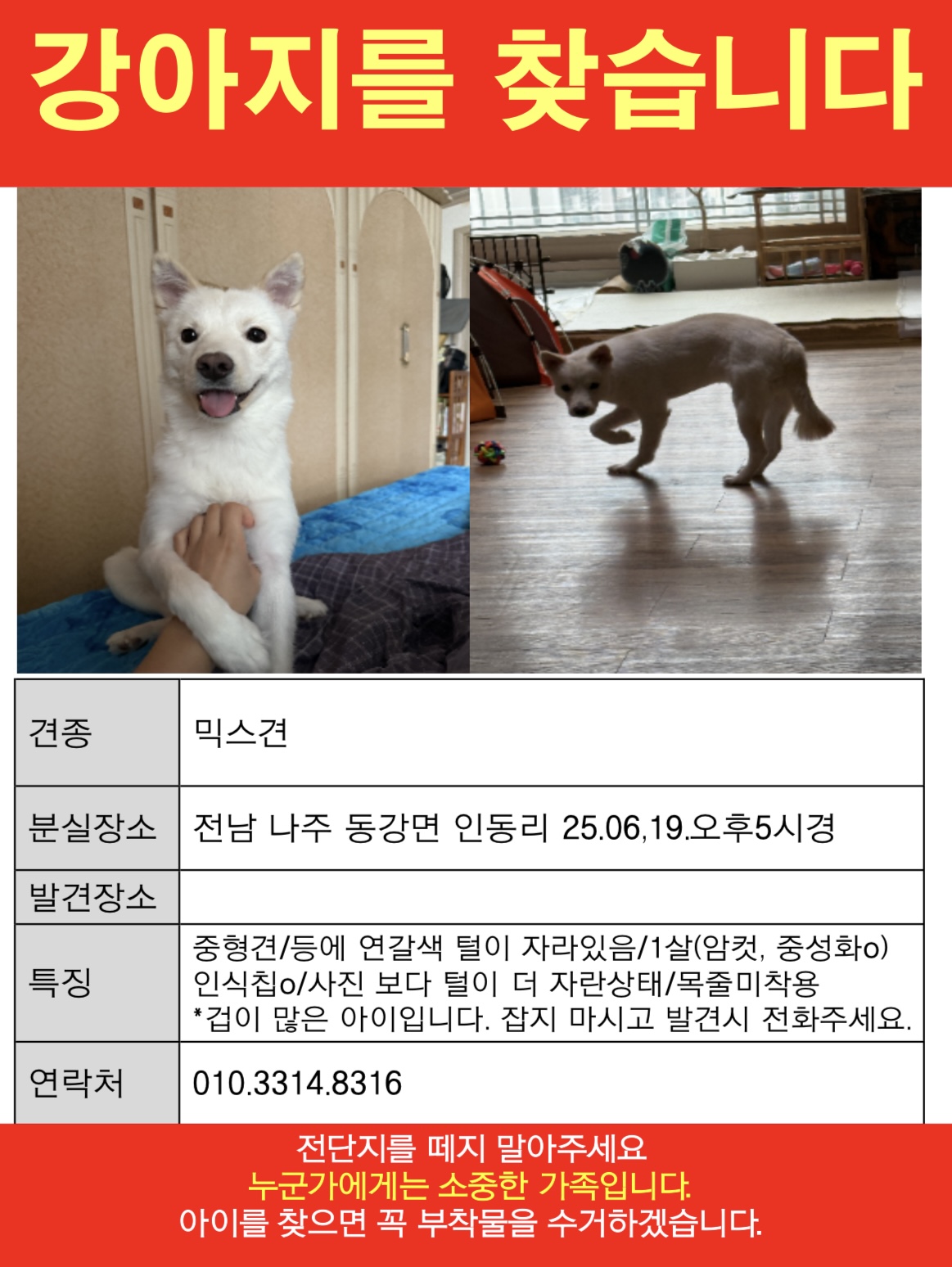 유기견보호센터 강아지보호소 고양이보호소 - 펫찾기 4번째 사진