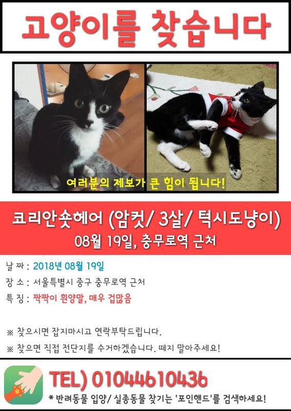 tmp_1535351430329.jpg : 고양이 찾습니다ㅜㅜ