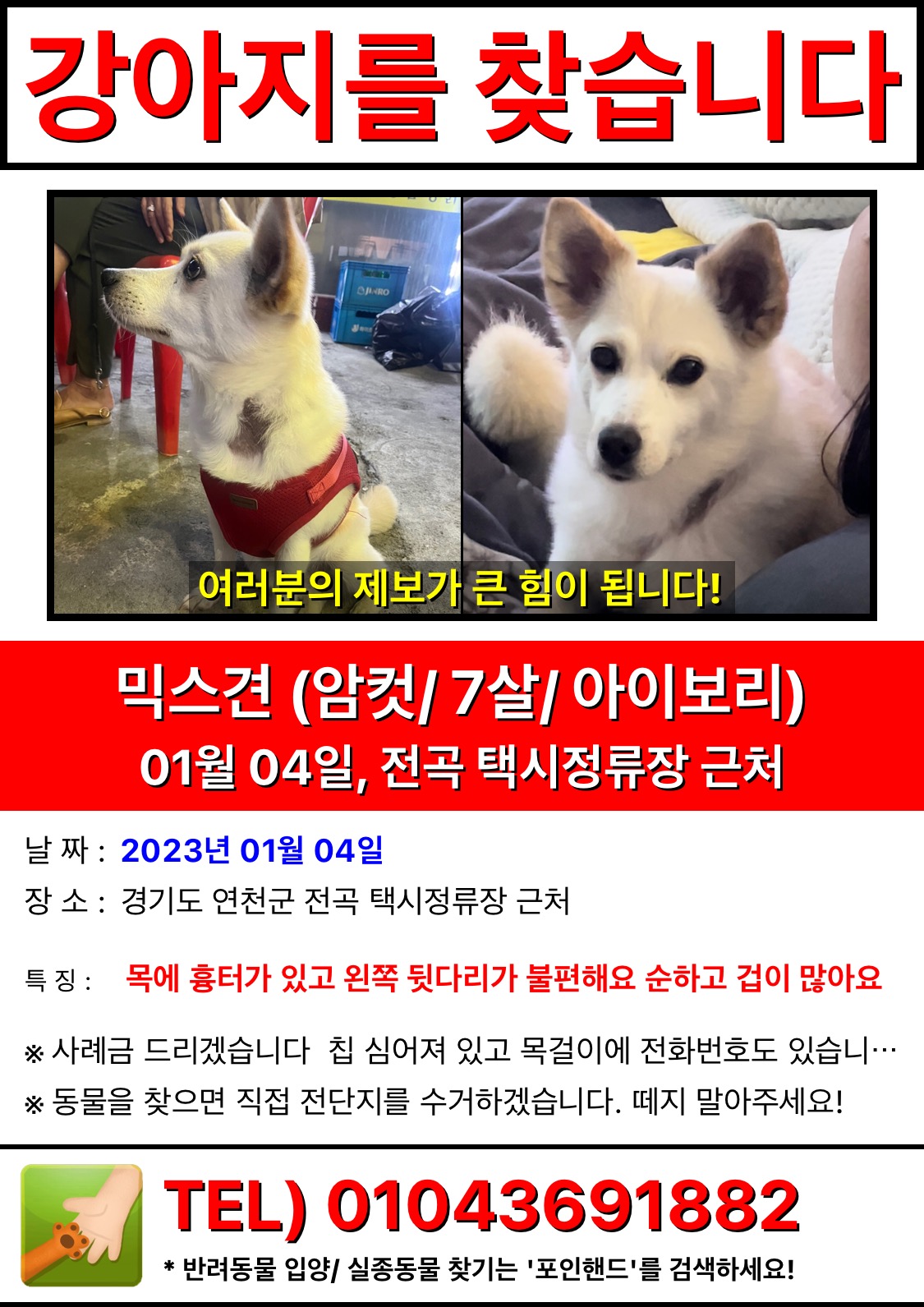 유기견보호센터 강아지보호소 고양이보호소 - 펫찾기 32번째 사진