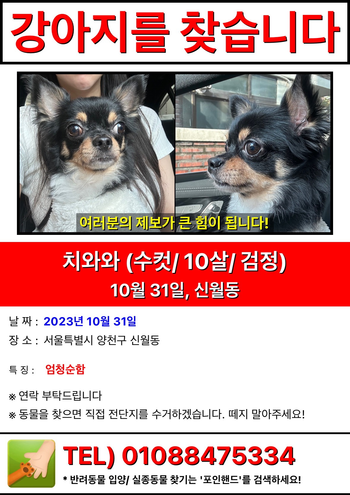 유기견보호센터 강아지보호소 고양이보호소 - 펫찾기 4번째 사진