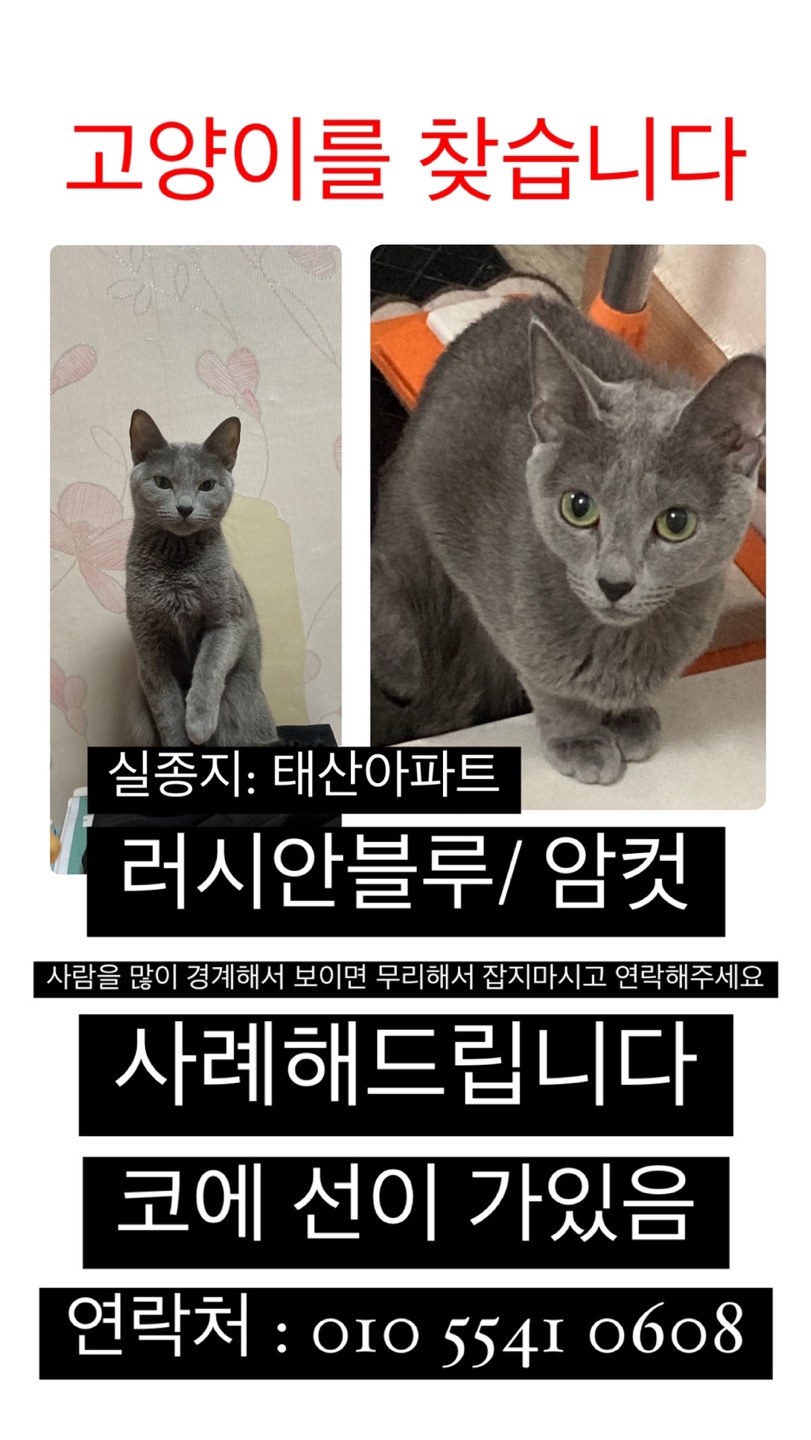 유기견보호센터 강아지보호소 고양이보호소 - 펫찾기 21번째 사진