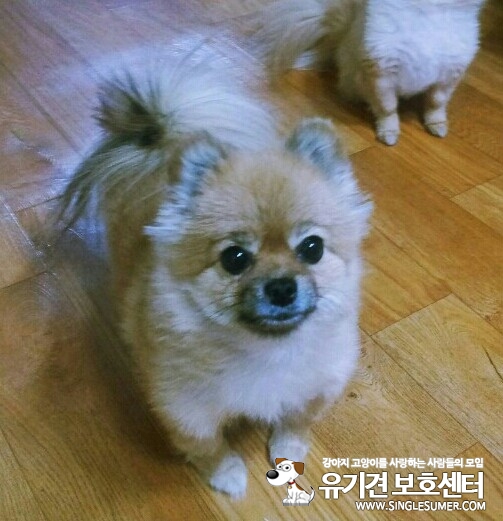 KakaoTalk_20150921_210616989.jpg