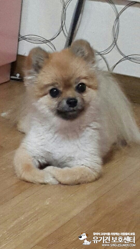 KakaoTalk_20150921_210623713.jpg