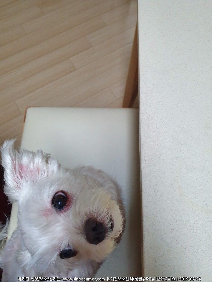 KakaoTalk_20190723_115116419.jpg