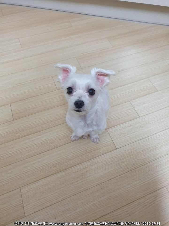 KakaoTalk_20190723_115117231.jpg