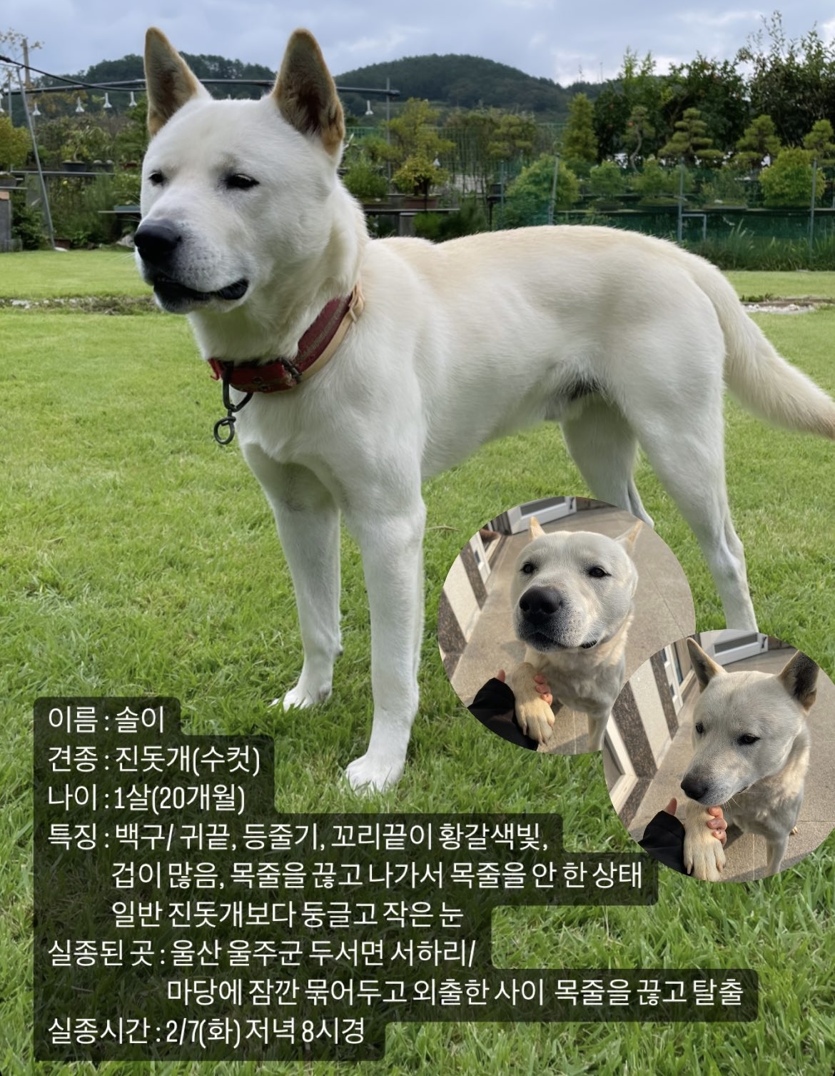 유기견보호센터 강아지보호소 고양이보호소 - 펫찾기 3번째 사진