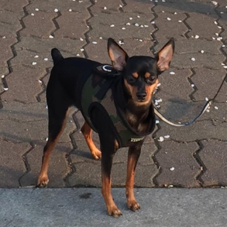 제동생 찾습니다..