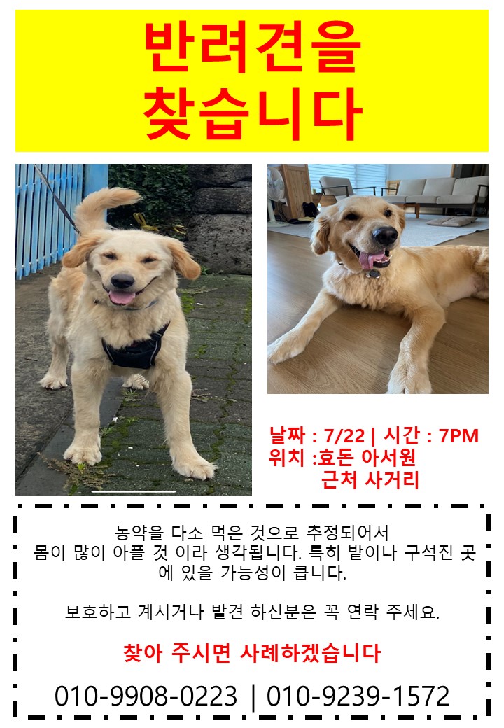 유기견보호센터 강아지보호소 고양이보호소 - 펫찾기 27번째 사진