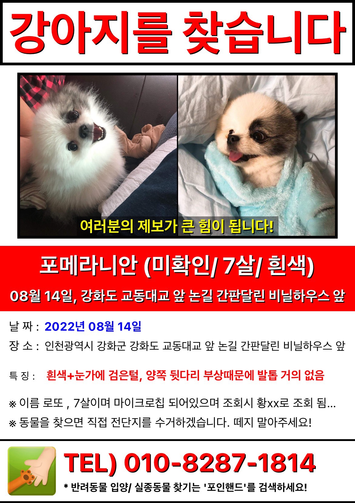 유기견보호센터 강아지보호소 고양이보호소 - 펫찾기 17번째 사진