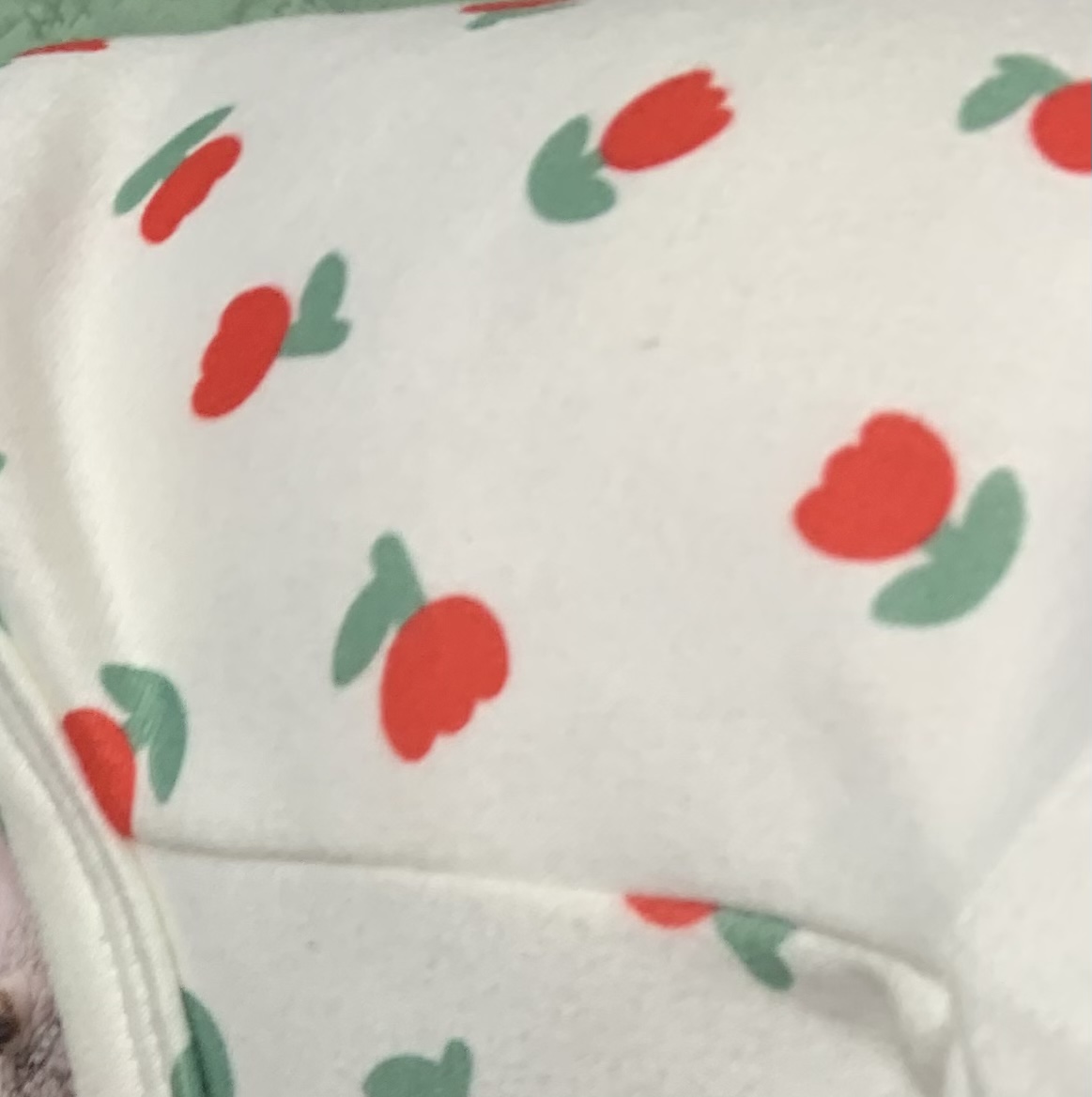 유기견보호센터 강아지보호소 고양이보호소 - 펫찾기 37번째 사진