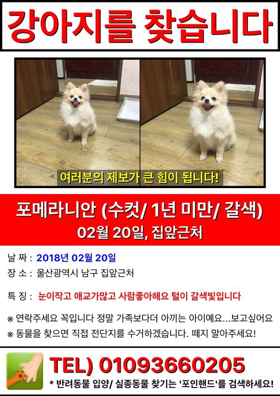 유기견보호센터 강아지보호소 고양이보호소 - 펫찾기