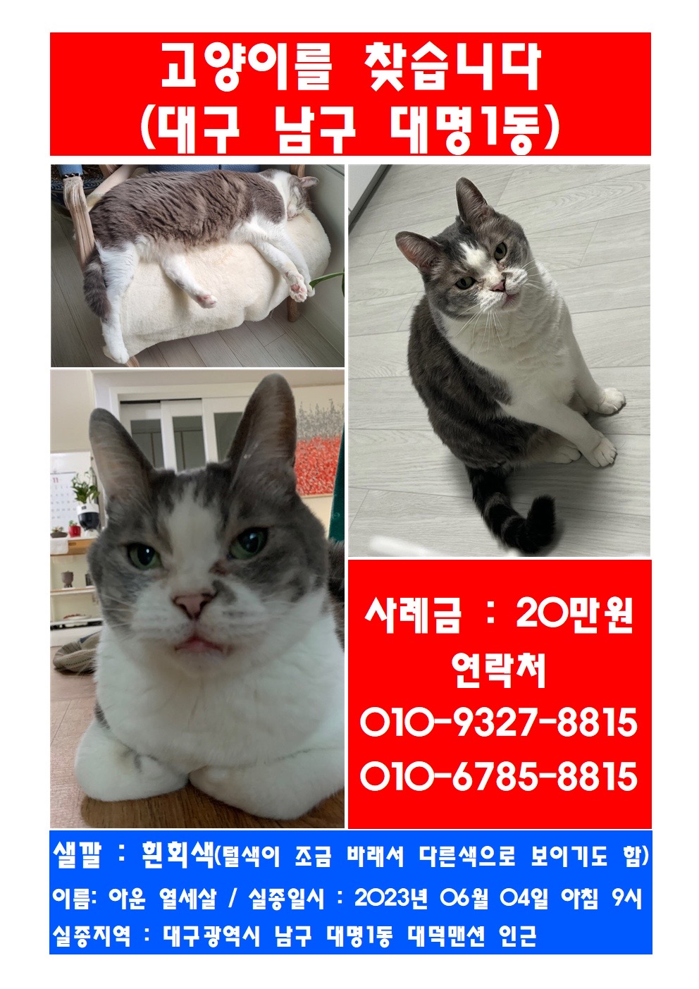 유기견보호센터 강아지보호소 고양이보호소 - 펫찾기