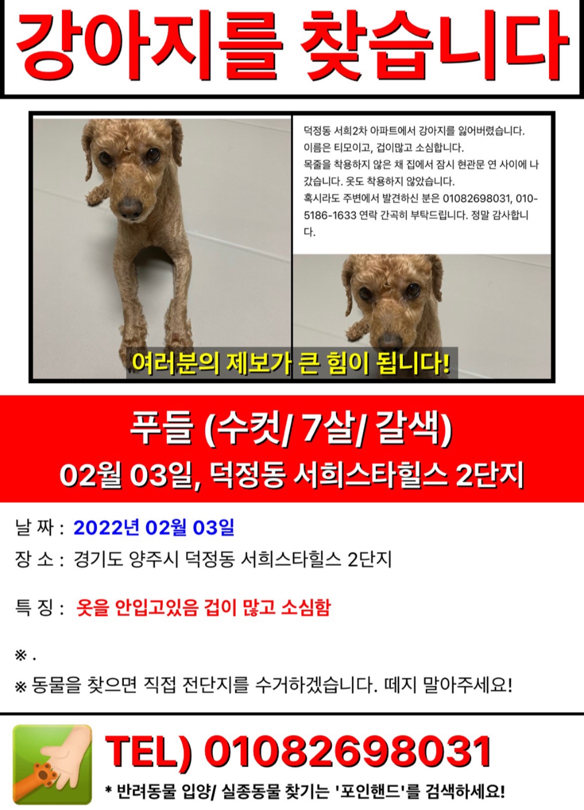 우리 갈색 푸들 티모를 찾아주세요.