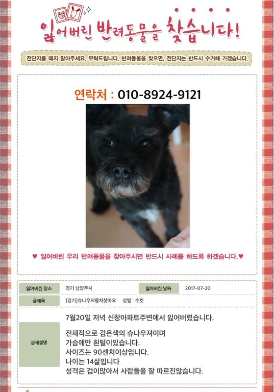 슈나우져 뭉치를 찾습니다 2번째 사진