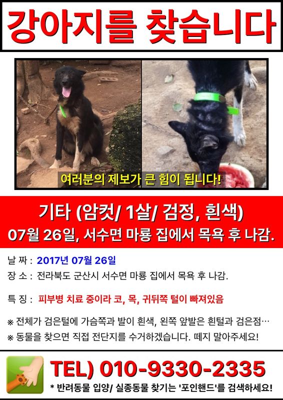 유기견보호센터 강아지보호소 고양이보호소 - 펫찾기 43번째 사진