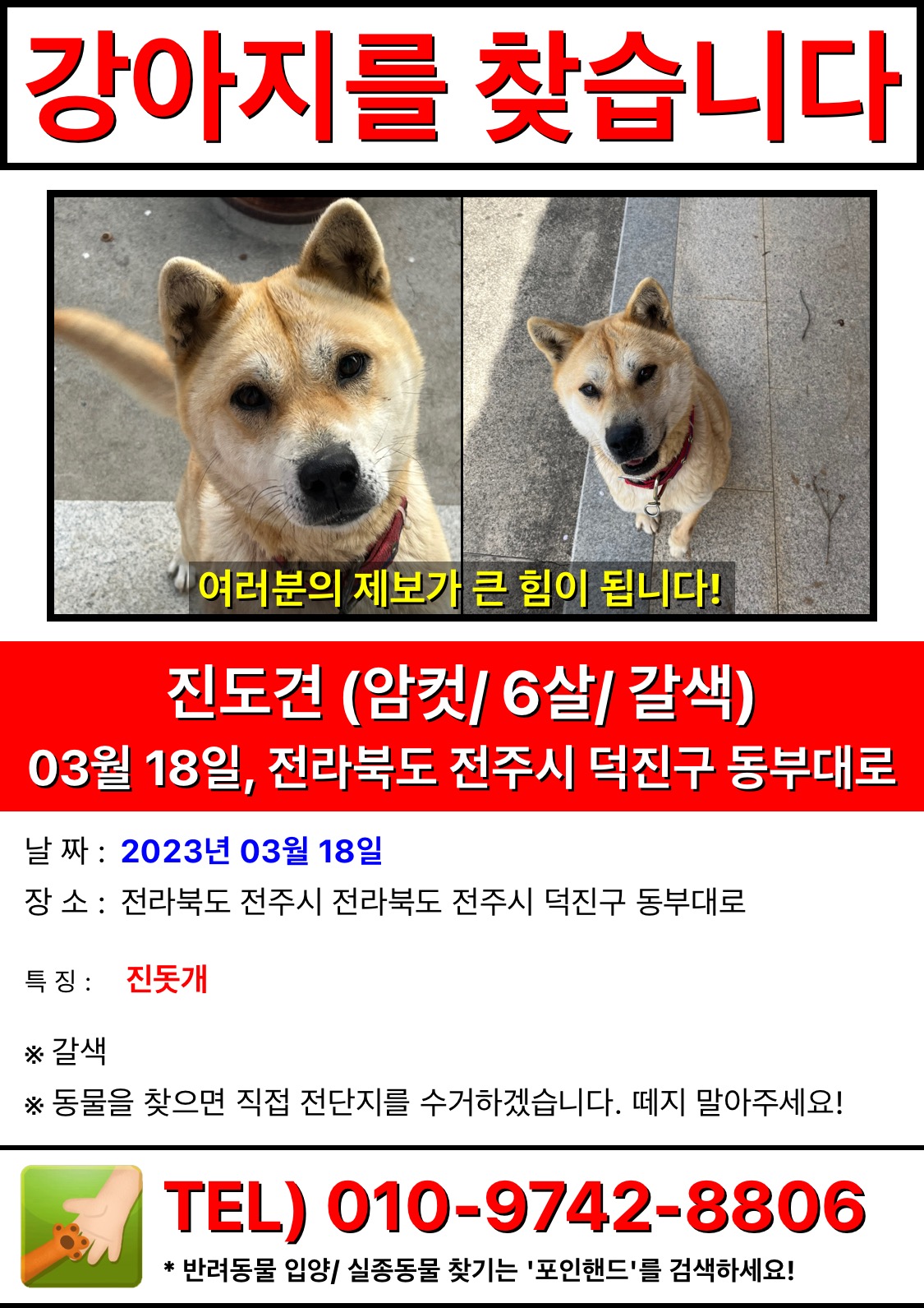 유기견보호센터 강아지보호소 고양이보호소 - 펫찾기 5번째 사진