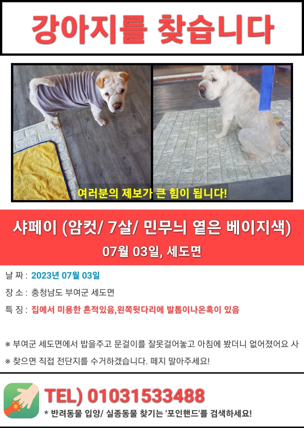 유기견보호센터 강아지보호소 고양이보호소 - 펫찾기 24번째 사진