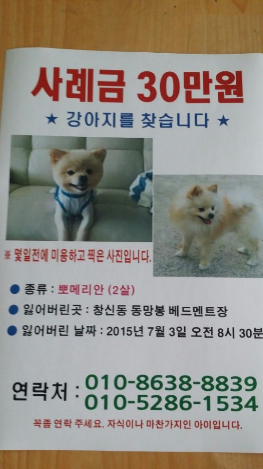 숭인동 봉망봉공원