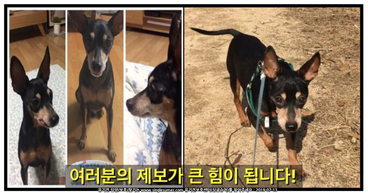 스크린샷 2019-07-13 06.03.50.png