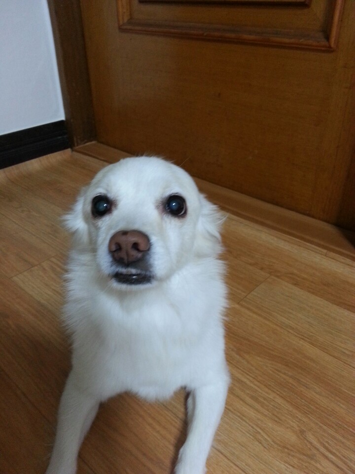 인천 숭의동부근 도와주세요ㅠㅠ