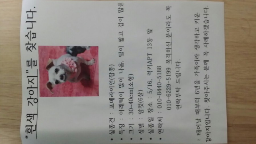 유기견보호센터 강아지보호소 고양이보호소 - 펫찾기 17번째 사진