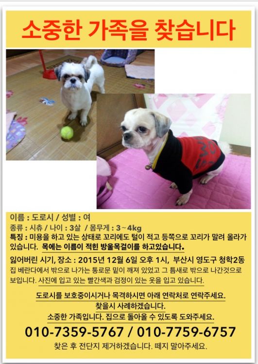 유기견보호센터 강아지보호소 고양이보호소 - 펫찾기 20번째 사진