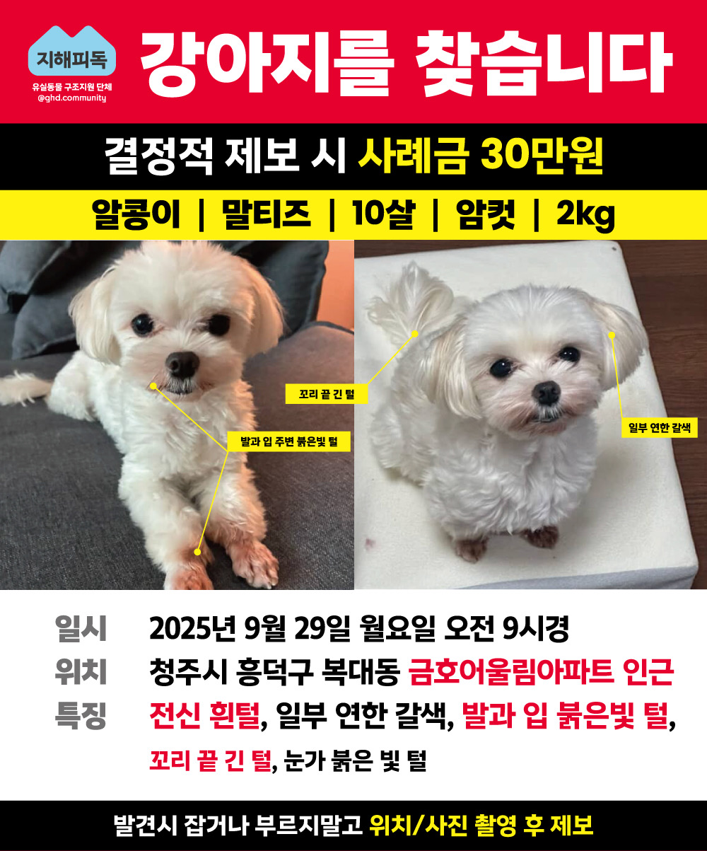 유기견보호센터 강아지보호소 고양이보호소 - 펫찾기 26번째 사진