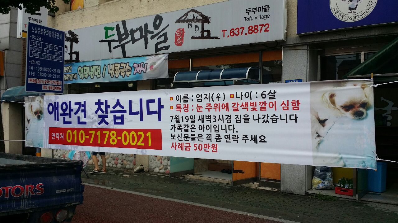 유기견보호센터 강아지보호소 고양이보호소 - 펫찾기 8번째 사진