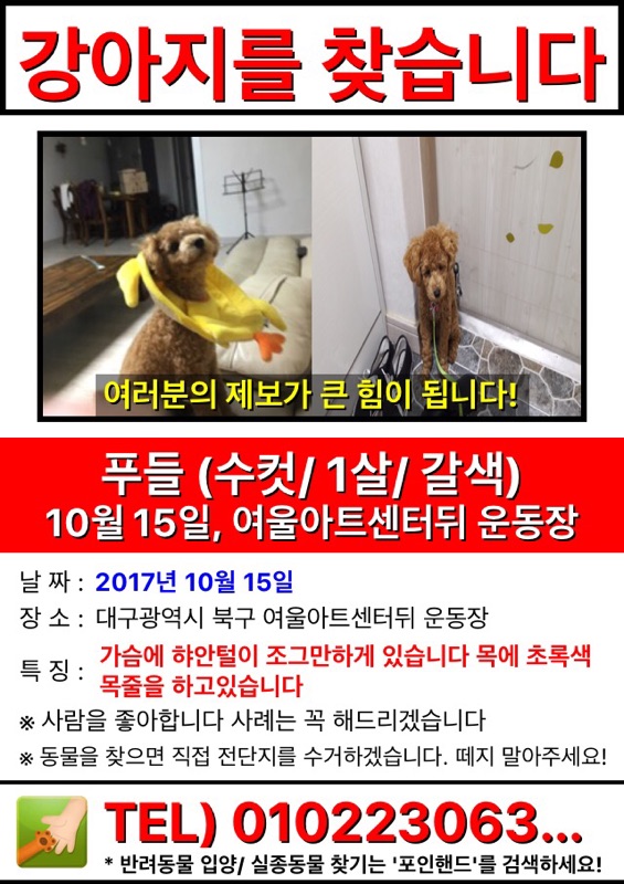 유기견보호센터 강아지보호소 고양이보호소 - 펫찾기 28번째 사진