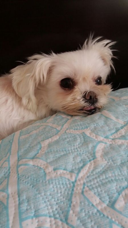 제발한번만봐주세요(수원)