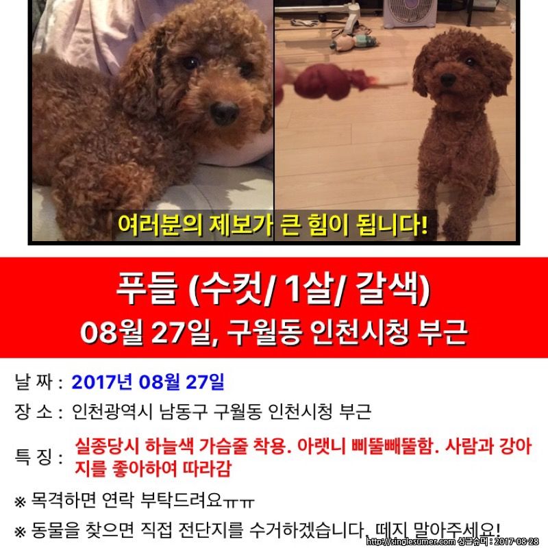 유기견보호센터 강아지보호소 고양이보호소 - 펫찾기 26번째 사진