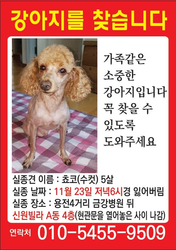 유기견보호센터 강아지보호소 고양이보호소 - 펫찾기 4번째 사진